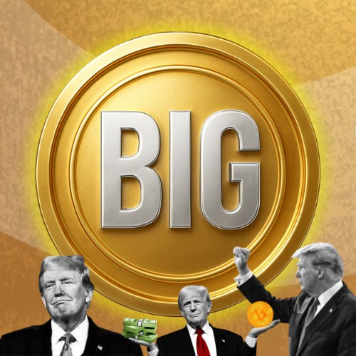 $BIG Coin